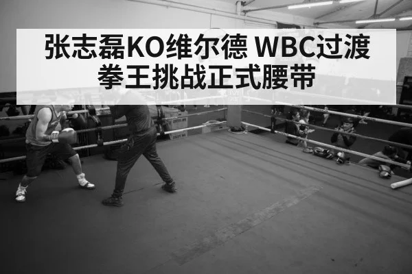 boxer training gym